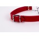 Calf Softy Leather Top and Lamb Leather Padding with Stainless Steel Mouth Piece Red