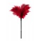 GP Small Feather Tickler Red