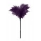 GP Small Feather Tickler Purple