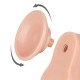 8.5'' Sliding Skin Dual Layer Dong Flesh II_B15O50_3