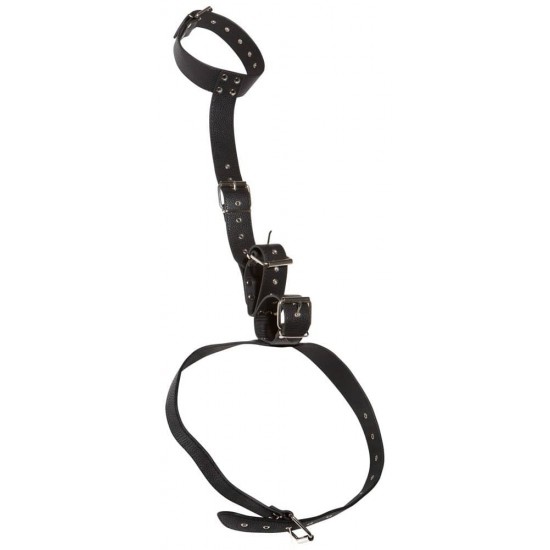 Bad Kitty Neck And Hand Restraints