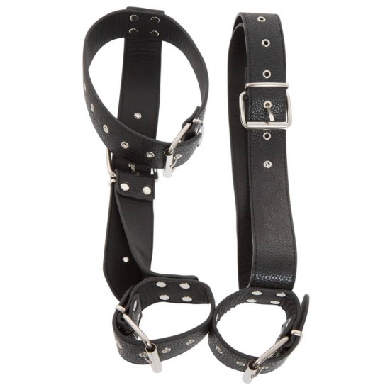 Bad Kitty Neck And Hand Restraints