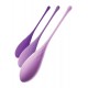 Kegel Train-Her Set Purple