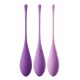 Kegel Train-Her Set Purple