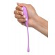 Kegel Train-Her Set Purple