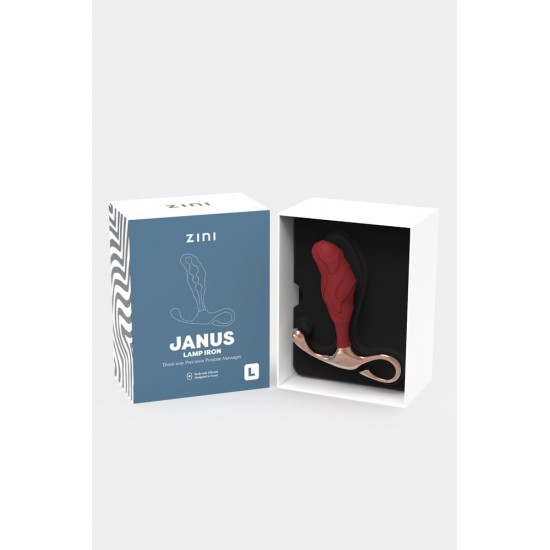 Zini Janus Lamp Iron Prostate Massager L_B0O25_4