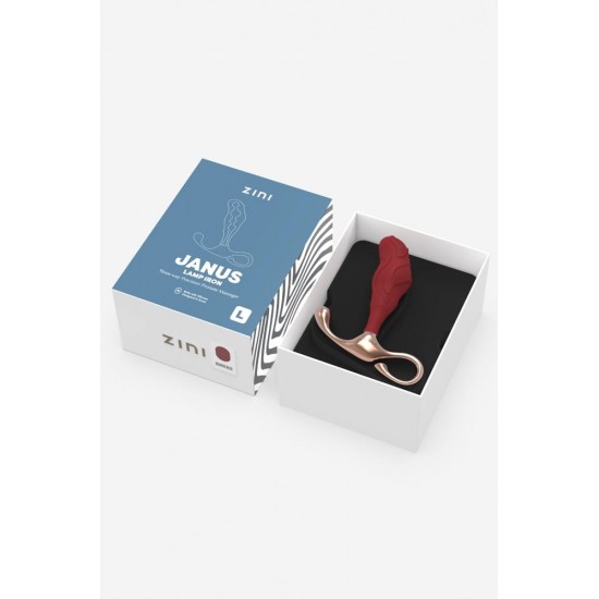 Zini Janus Lamp Iron Prostate Massager L_B0O25_4